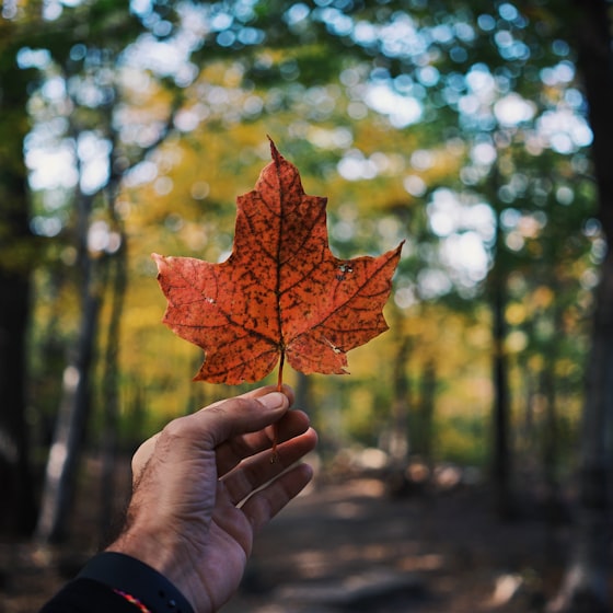 Open Source Practitioner Call - Digital Sovereignty in Canada